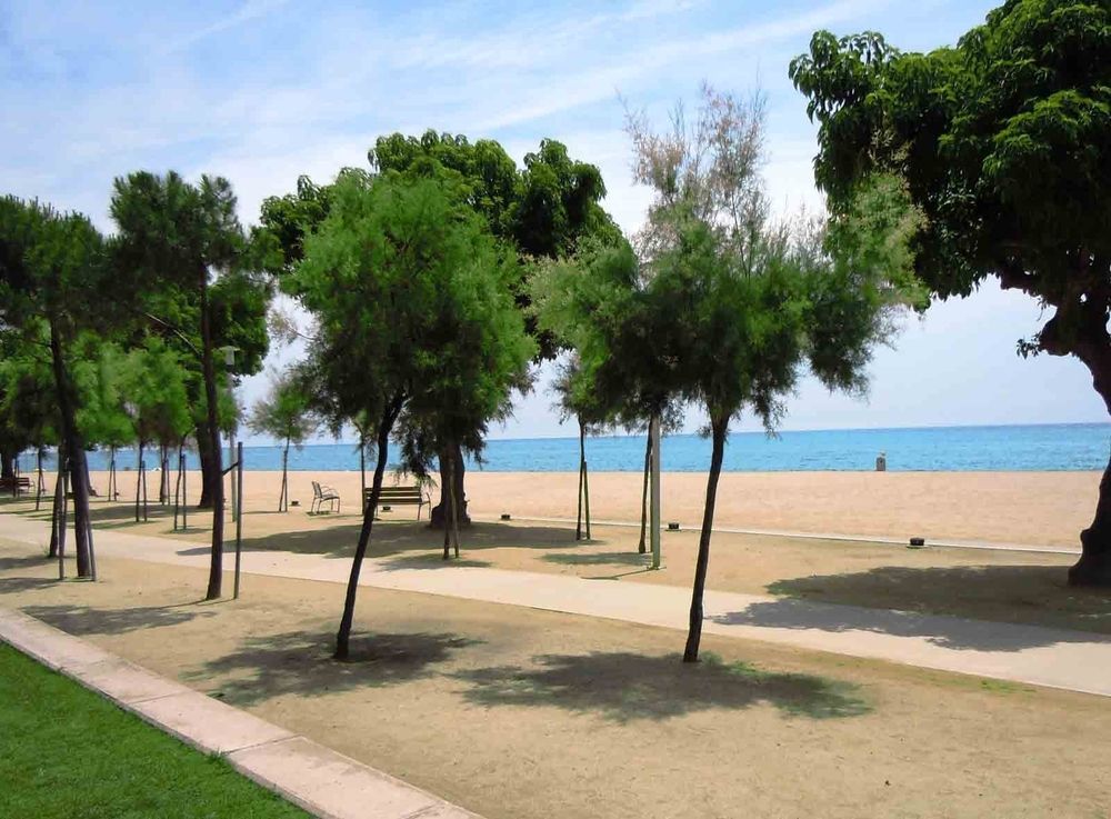 Càmping Bellsol Pineda de Mar Exterior foto
